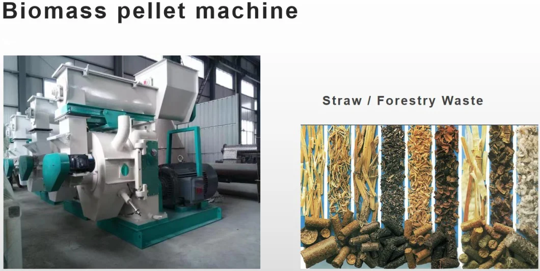 SD 520 Scruw Poultry Feed Biomass Wood Pellet Mill Ring Die