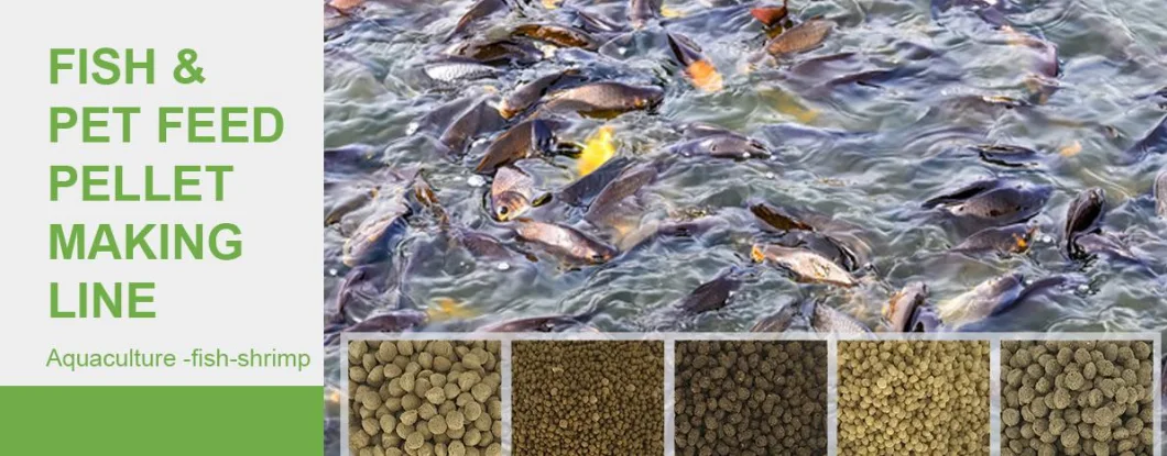 CE Approve Fish Feed Dog Food Cat Food Pet Chew Snack Food Production Line/Making Machines/Process Equipment Animal Fish Feed Pellet Mill
