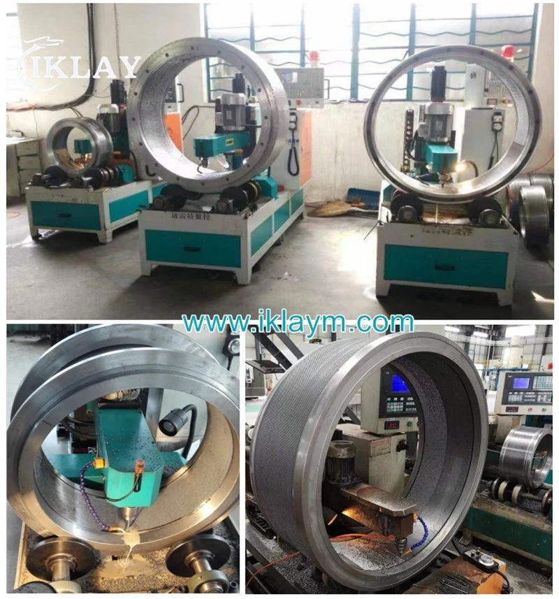 B6-Dgv406 B6-Dgv500 Ring Die Mold Matrix / Ring Die Matrix Manufacturer