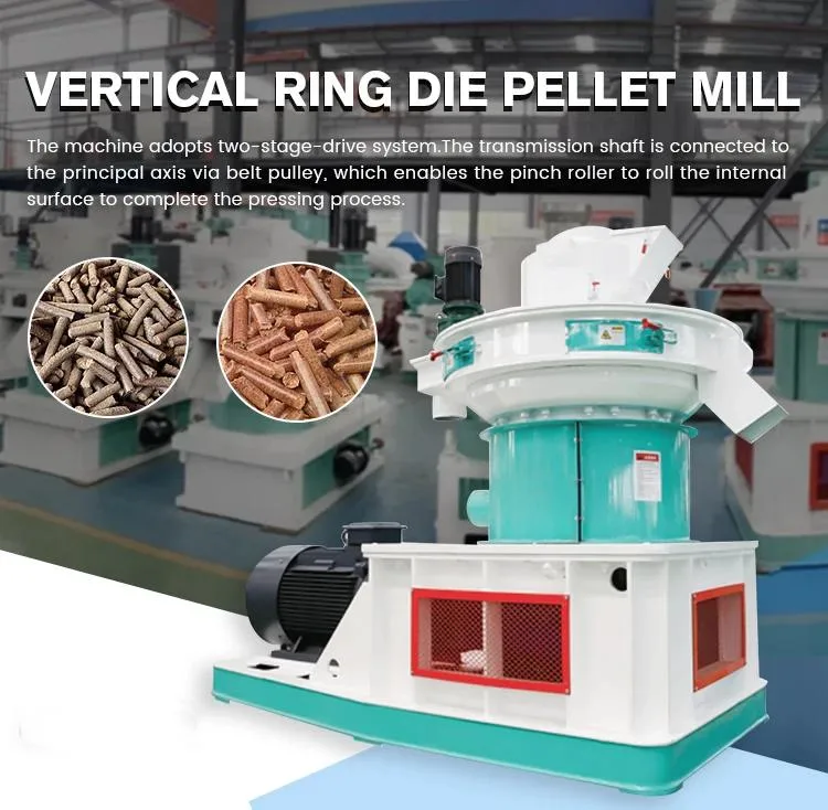 Vertical Ring Die Mold Pellet Machine High Density Straw Pellet Machine