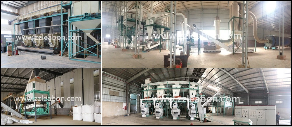 CE Certification 1-2t/H Biomass Pellet Making Machine Rice Husk Straw Sawdust Wood Pellet Mill Machine Price for Sale