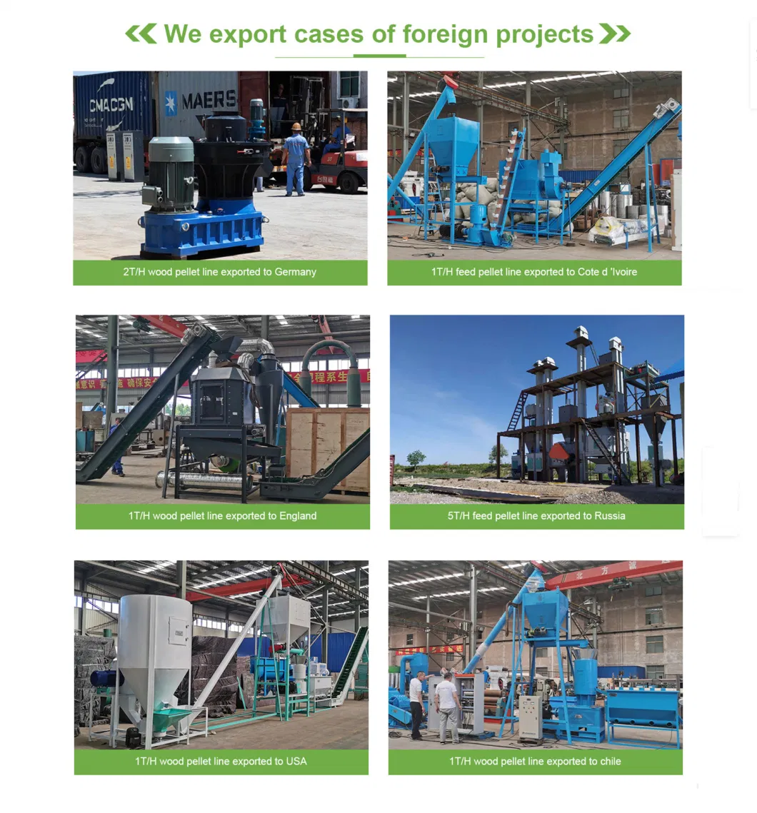500kg/H Chile Sawdust Wood Pellet Mill Plant Machine Complete Biomass Pellet Production Line