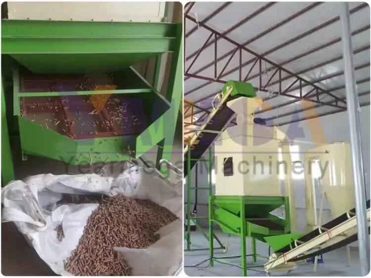 Best Selling High Quality Ring Die Biomass Wood Sawdust Pellet Machine Pellet Mill