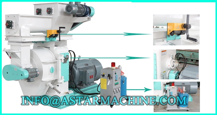 Whole Sale Cheap Biomass Wood Fuel Pellet Manufacturing Machine Line