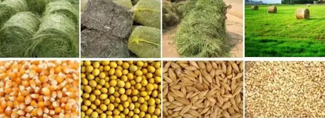 Full Line 2ton/H Chicken Cow Cattle Fish Cattle Animal Feed Pellet Production Line Plant Poultry Livestock Animal Feed Pellet Production Line Supplier with CE