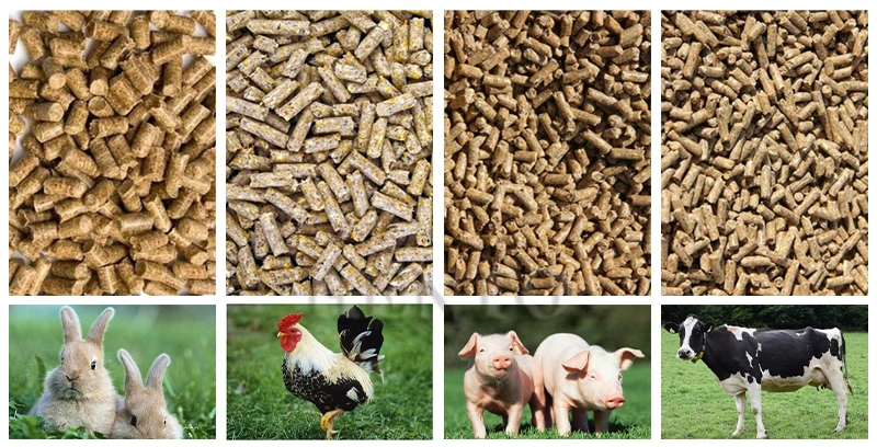 Poultry Chicken Pig Feed Pellet Making Machine / Animal Feed Pellet Machine