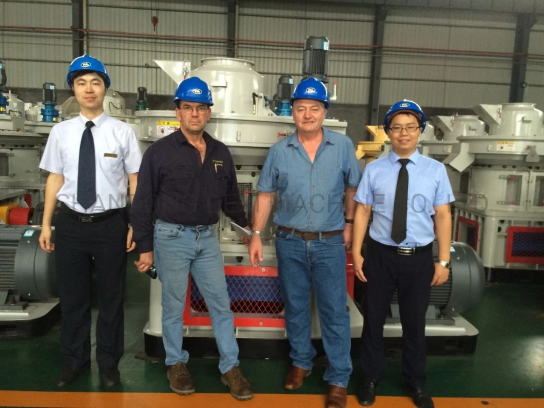 2.5-3.5tons/Hour Vertica Ring Die Biomass Wood Pellet Mill with CE Certification