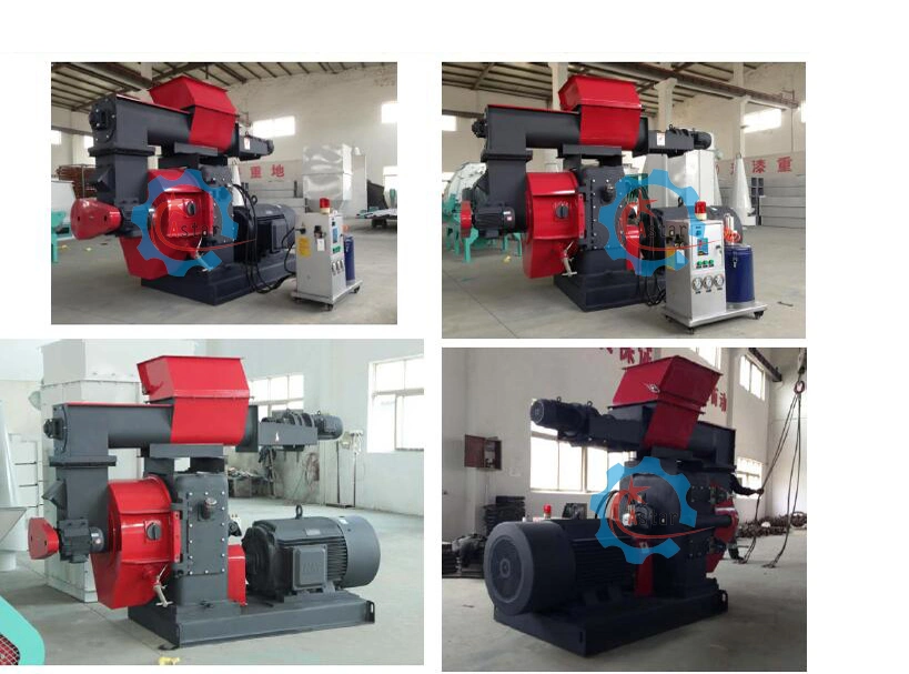 Output 1t/H Ce Approved Wood Pellet Mill With Automatic Lubrication Machine