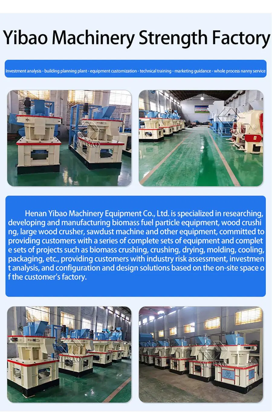 China Professional Manufacturer Machine to Make Wood Pellets Biomass Granulator Production Line