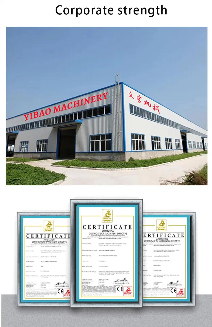 China Professional Manufacturer Machine to Make Wood Pellets Biomass Granulator Production Line