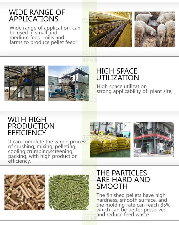 Factory Supplier 0.5-1.5 T/H Cattle Chicken Pig Sheep Feed Pellet Production Line