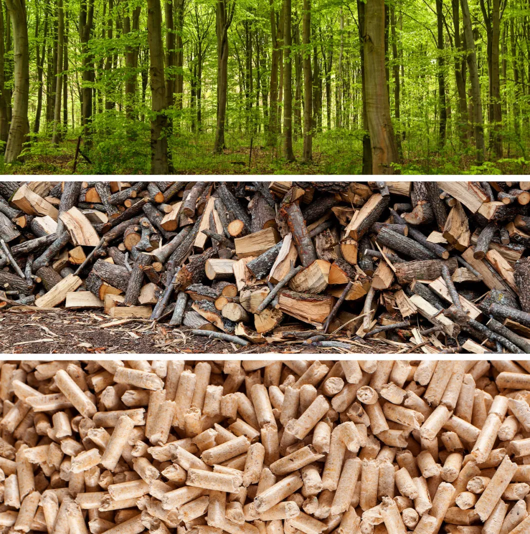 Pellet Making Machine, Biomass Wood Pellet Production Line