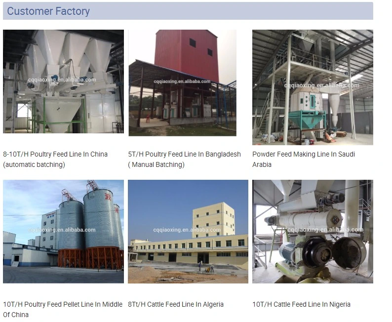 Complete Sinking Fish Feed Production Line for Aqua Feed Pellet Mill Machine Supplier