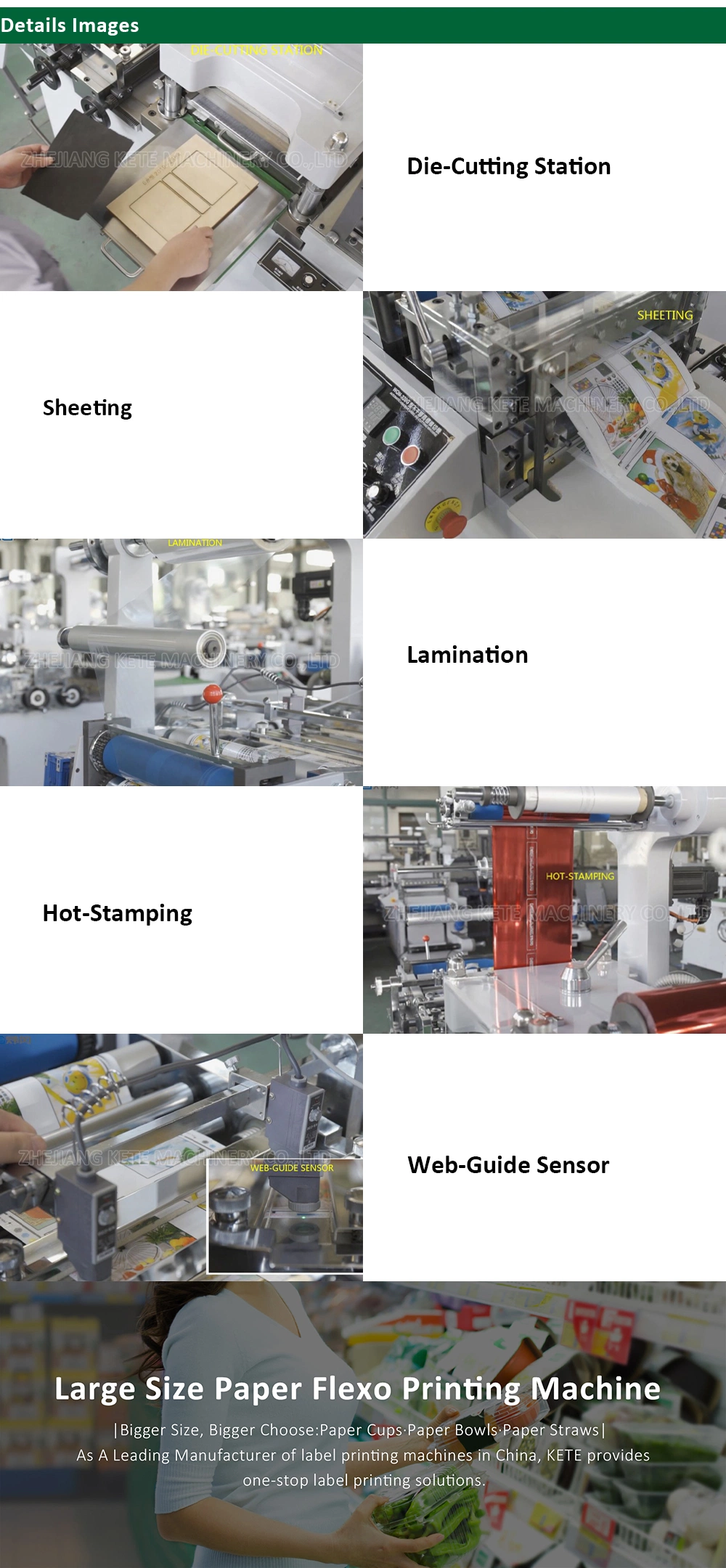 Sticker Label Die Cutting Machine for Sticker Labels Auto Flat Die Cutting Machine with Servo Motor