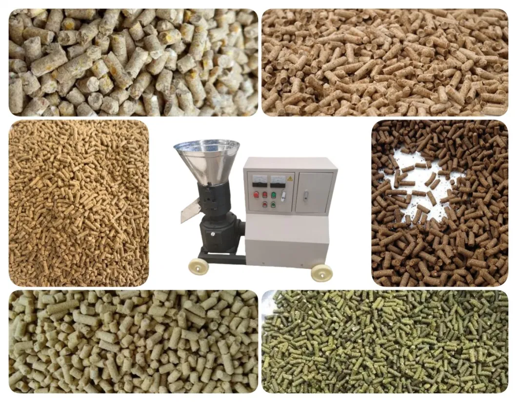 60-1200 Kg/H Poultry Pellet Feed Equipment Animal Feed Processing Machine Sheep Chicken Feed Pellet Mill