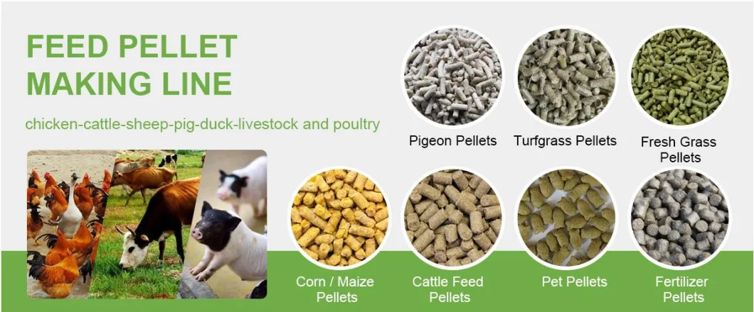 China Supply Poultry Animal Fish Cattle Chicken Goose Pig Food Feed Pellet Processing Machines Chicks Feed Pellet Making Line Supplier