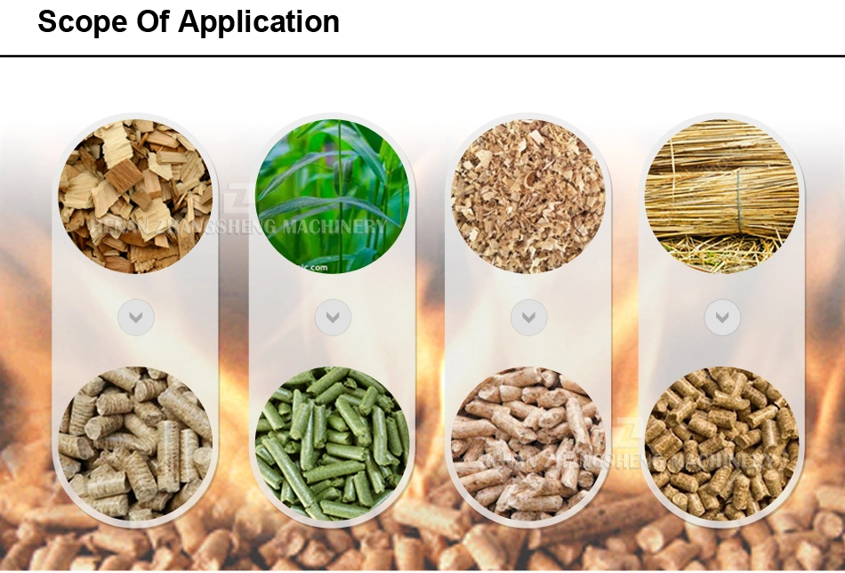 1-4t/H Biofuel Fuel Vertical Ring Die Sawdust/Straw/Rice Husk Pelletpress Wood