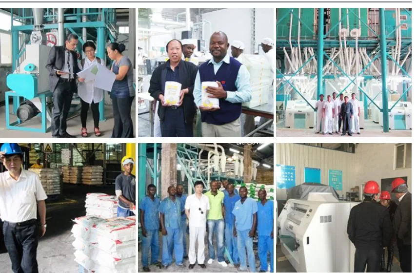 Hongdefa China Popular Spare Parts for Maize Wheat Flour Mill Machine