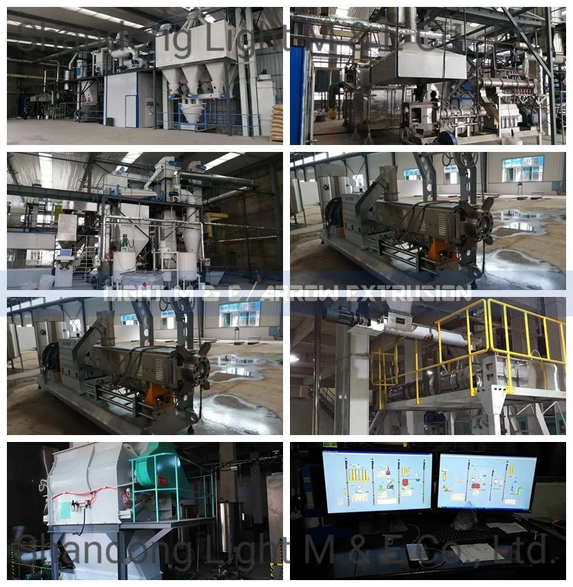 China High Quality Automatic Extruded Floating Fish Feed Machine