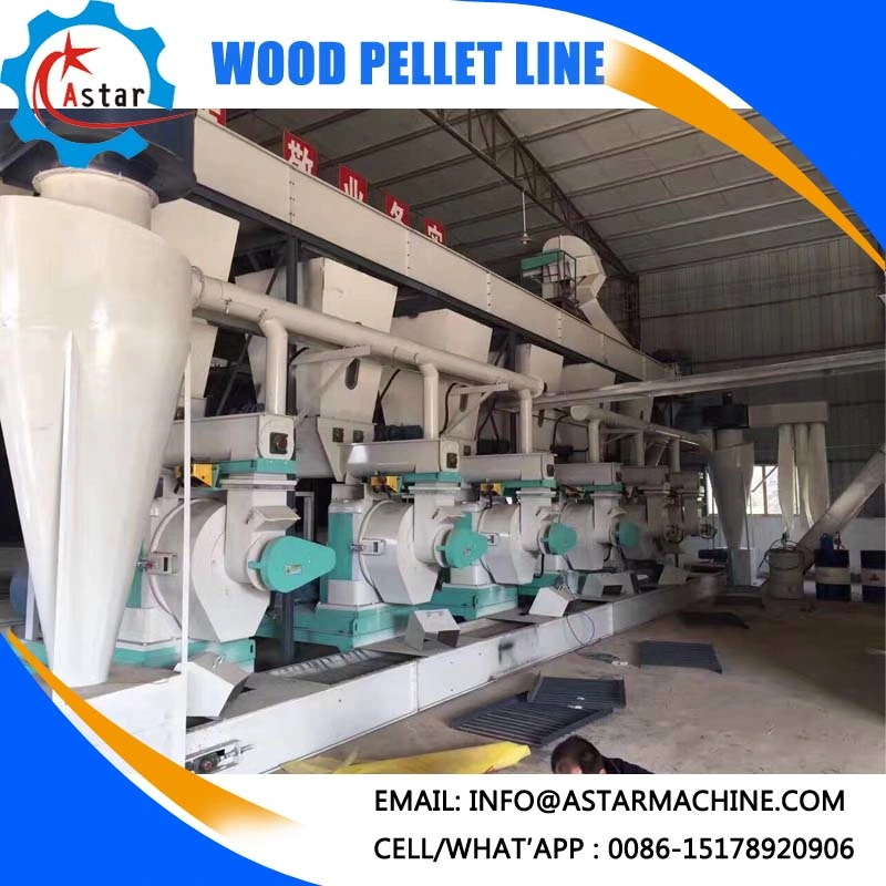 Whole Sale Cheap Biomass Wood Fuel Pellet Manufacturing Machine Line