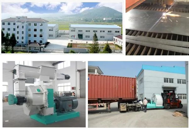 Whole Sale Cheap Biomass Wood Fuel Pellet Manufacturing Machine Line