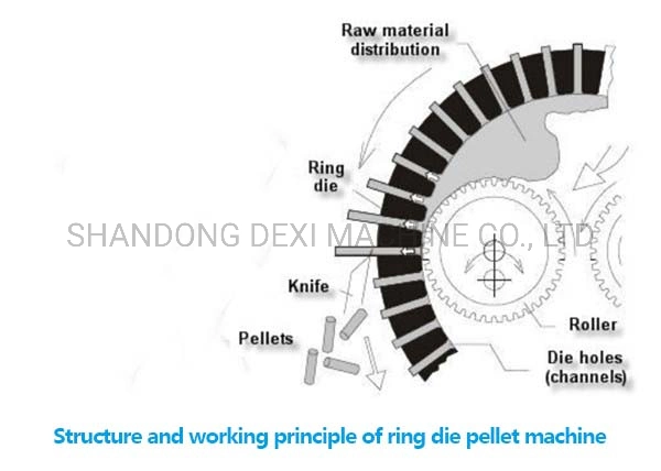 2.5-3.5tons/Hour Vertica Ring Die Biomass Wood Pellet Mill with CE Certification