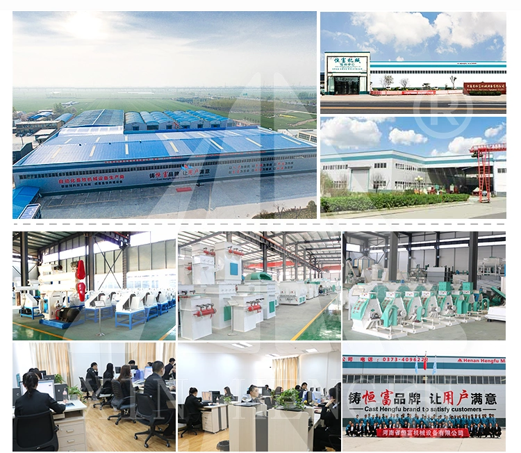 Large Capacity Factory Direct Supplier Feed Pellet Production Line