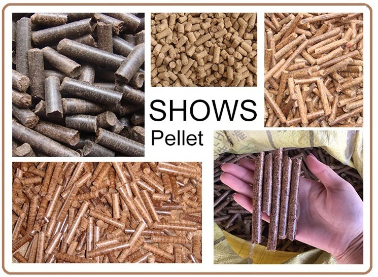 Ring Die Wood Chips Pellet Machine Biomass Sawdust Wood Pellet Mill