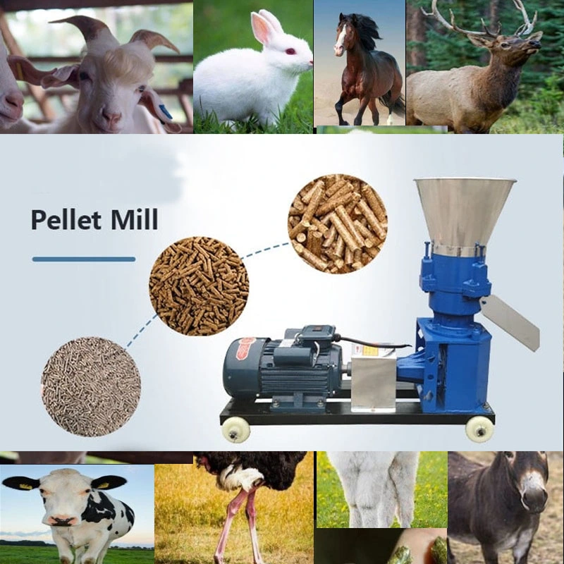 Animal Feed Machine Diesel Pelletizer Processing Line Factory Flat Die Pig Sawdust Dual Usage Feed Pellet Machine with Diesel Engine Electric Motor