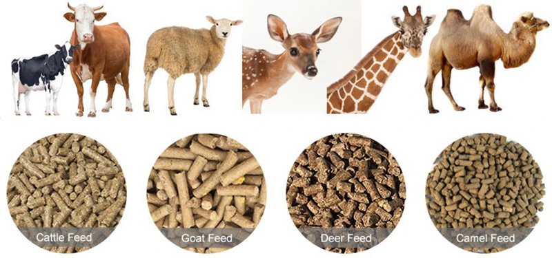 Wholesale Poultry Animal Cattle Feed Pellet Production Mill