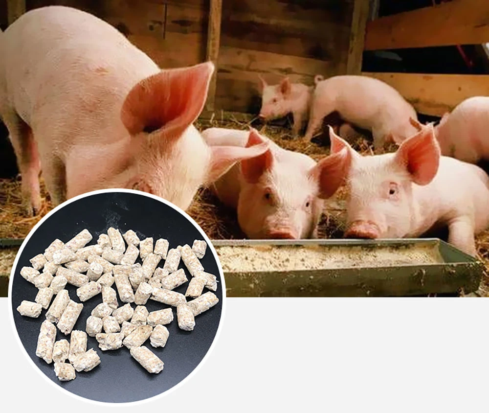 China Factory Direct Animal Feed Feed Grade Pellets Sweet Potato Pellets