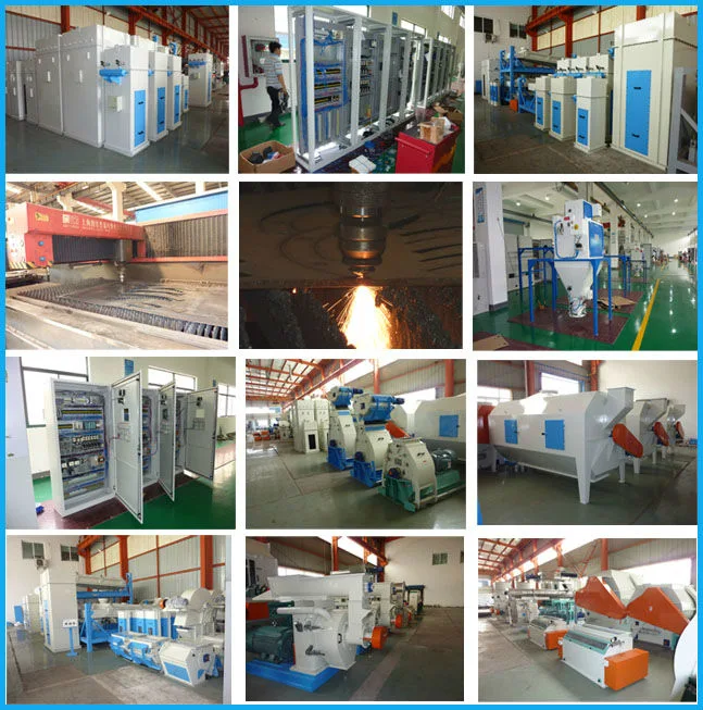 Energy Saving Cattle and Poultry Feed Machine Safety Operation Pellet Mill