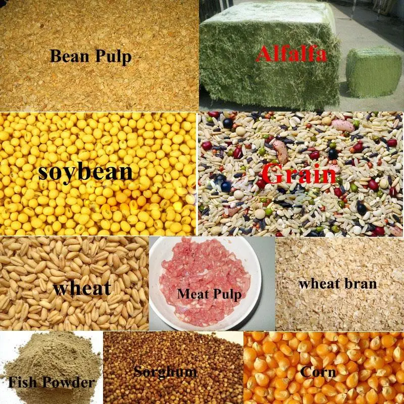 Hot Sale CE Ring Die for New Design Animal Feed Pellet Making Machine