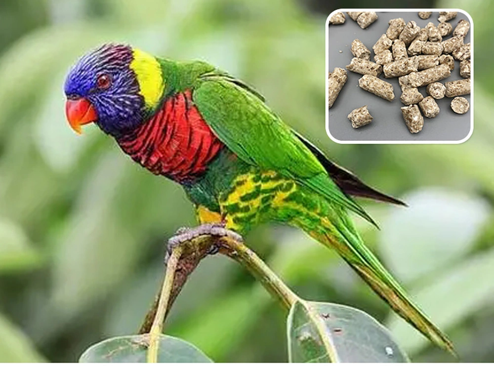 Factory Direct Sales of Good-Quality Animal Feed Sweet Potato Pellet Feed Pellets