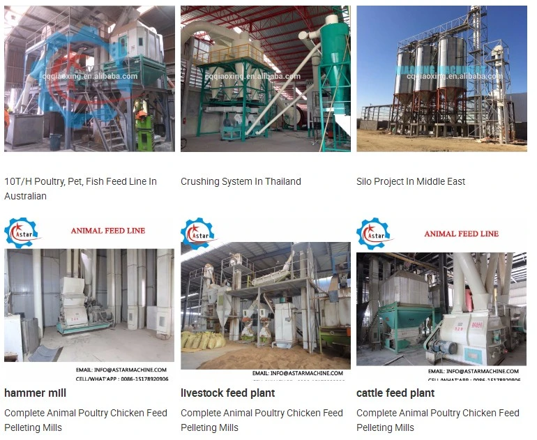 Complete Sinking Fish Feed Production Line for Aqua Feed Pellet Mill Machine Supplier