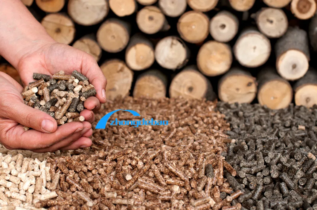 500kg/H Chile Sawdust Wood Pellet Mill Plant Machine Complete Biomass Pellet Production Line