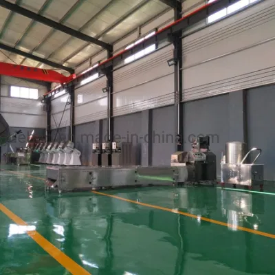  2023 Nuevo Diseño 2-3t/h 4-6t/h flotante totalmente automático de los peces se alimentan de la máquina Línea de producción de la planta de pélets de comida para perros máquina extrusora de doble husillo para alimento para mascotas haciendo