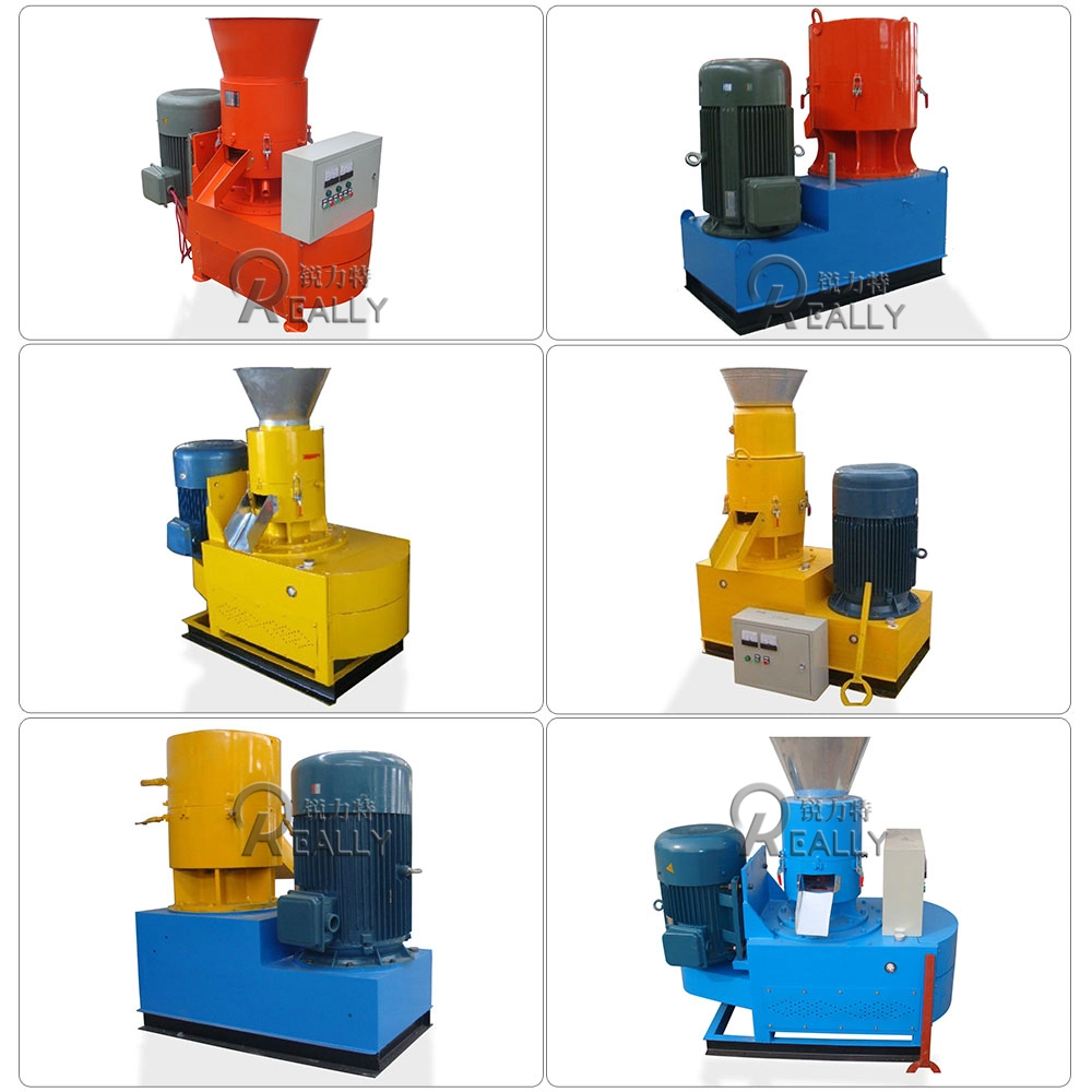 Biomass Wood Pellet Machine Sawdust Press Granular Roller Rotate Pellet Mill with 3 Year Warranty