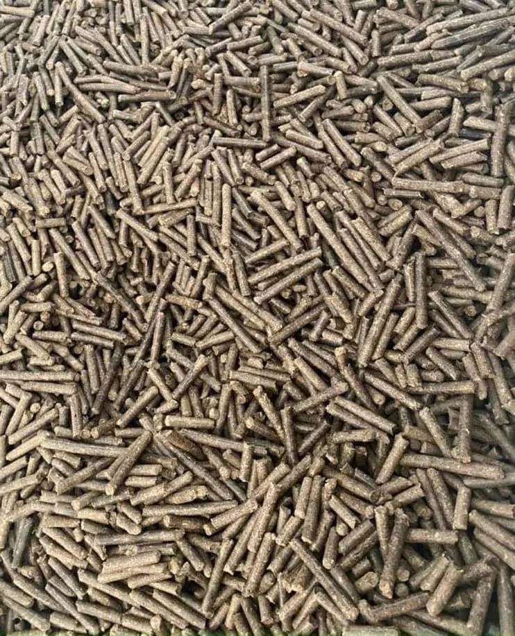 2024 Skj Flat Die Wood Feed Pellet with High Efficiency Motor Machine