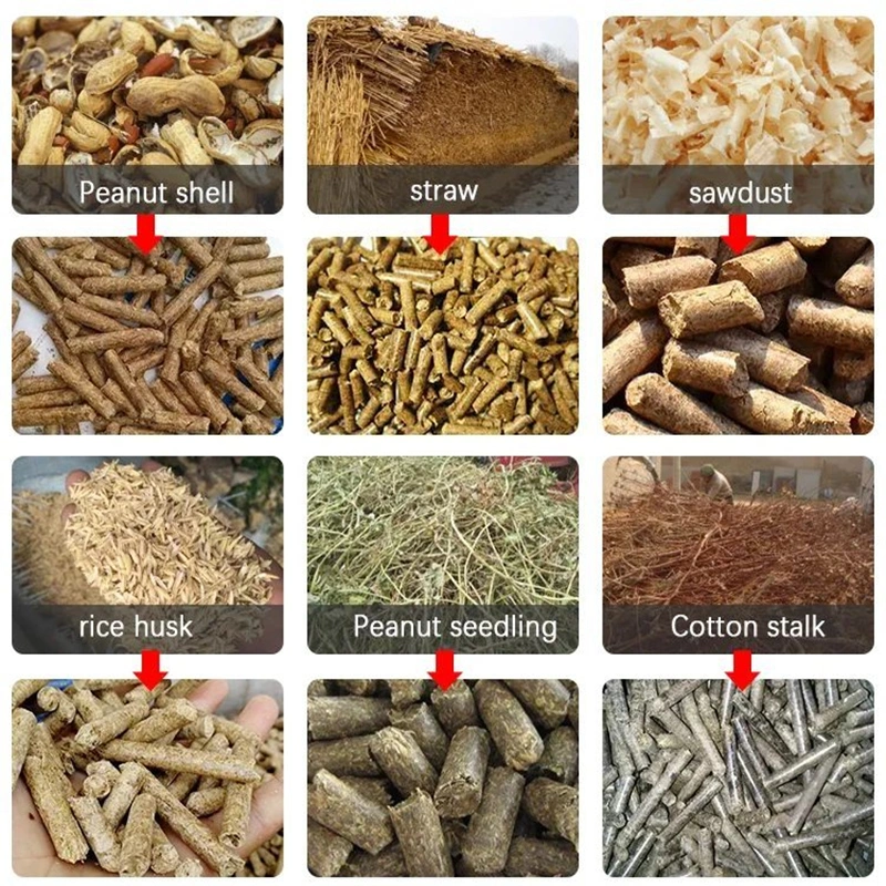 1-10t/H Sawdust Pine Miscellaneous Wood Peanut Shell Sawdust Wood Granulator Wood Pellet Mill Biomass Pellet Machine