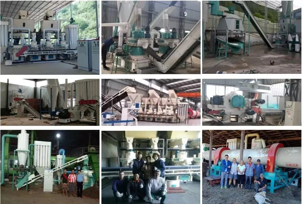 Corn Sawdust Wood Pellet Small Hammer Mill for Wood Chips