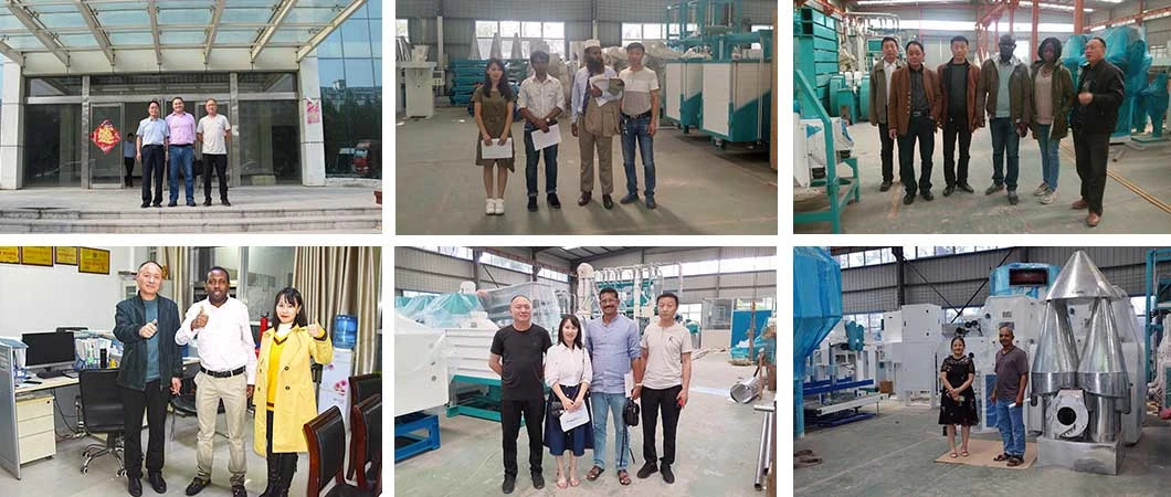 Animal Feed Mill Maize Milling Plant	Maize Flour Milling Machine Maize Grinding Machine Price Roller Mill for Sale UK Roller Mill for Corn for Sale