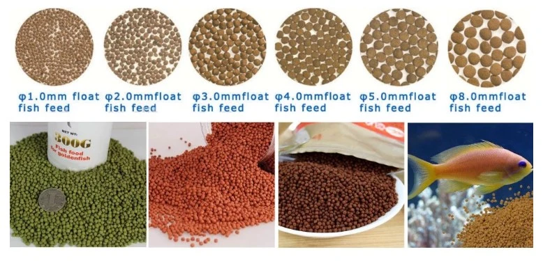 Industrial Fish Feed Processing Machine Reliable Supplier Fish Food Pellets Machine Multipurpose Fish Feeding Machine Professional Fish Food Machine