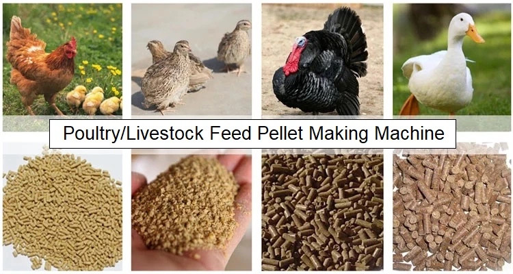 Poultry Feed Pellet Making Machine, Chicken Feed Pellet Mill, Feed Pelletizing Machine, Animal Feed Production Line, Animal Feed Machine