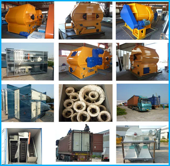 Cost-Effective Poultry Feed Machine Changzhou Pellet Mill