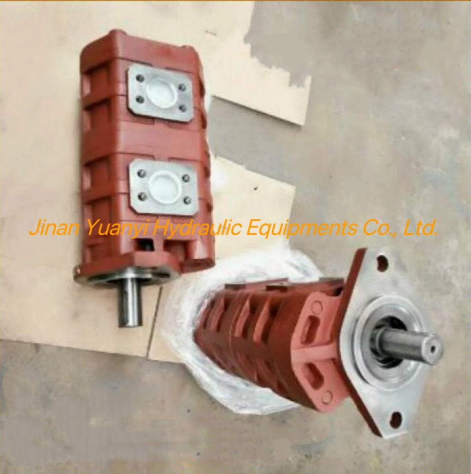 Cbgj1032/1032 Cbgj1040/1040 Dual Gear Pump Hydraulic Pump