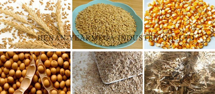 Popular Used in Europe Small Automatic Animal Feed Pellet Mill