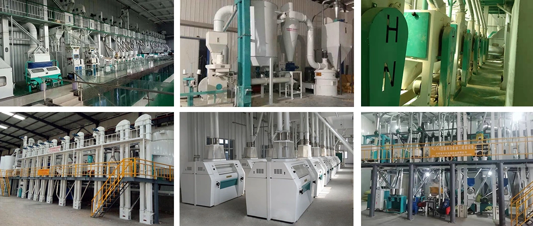Animal Feed Mill Maize Milling Plant	Maize Flour Milling Machine Maize Grinding Machine Price Roller Mill for Sale UK Roller Mill for Corn for Sale