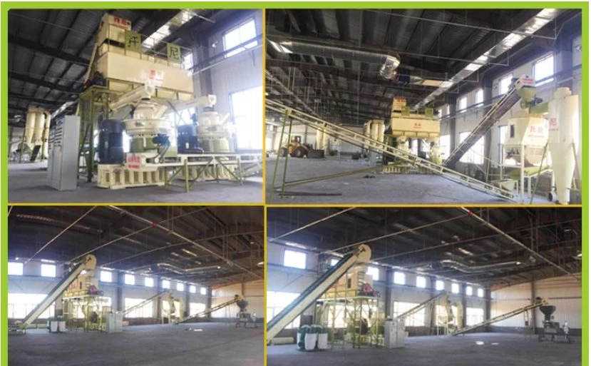 China Wood Sawdust Biomass Rice Husk 5-6t/H Wood Pellet Making Machine Line