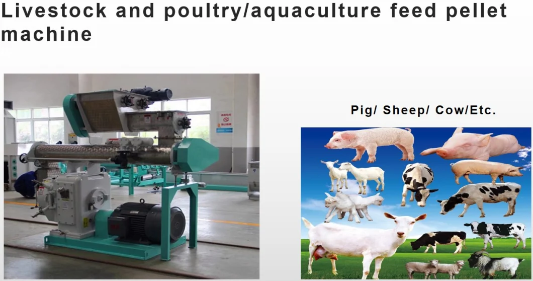 Animal Feed Pellet Machine Stainless Forged Steel Ring Die Granulator Accessories